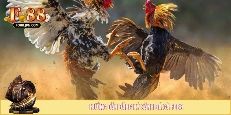 Đá Gà Fo88 - Sảnh Cược Đá Gà Chuyên Nghiệp Nhất 2025 3 Hướng dẫn đăng ký sảnh đá gà FO88